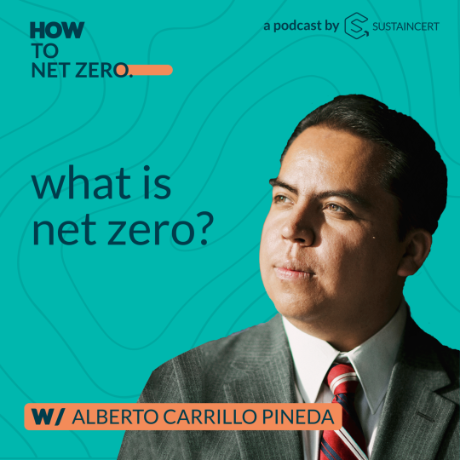 What is net zero?